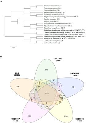 Characterization and Functional Test of Canine Probiotics